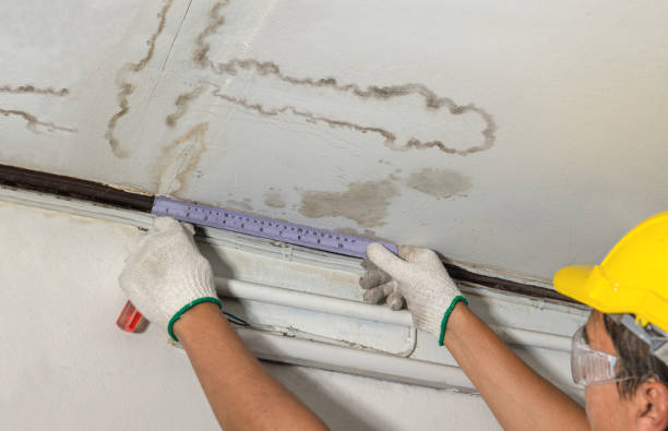 Reliable Basement Water Removal contractor in Hammond, WI by Water Damage Irwin
